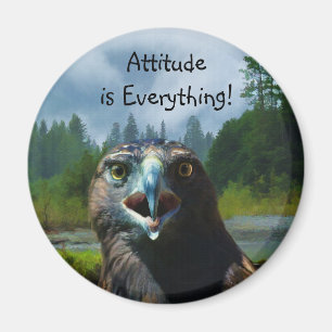 Aimant Young Bald Eagle et Misty Alaskan River