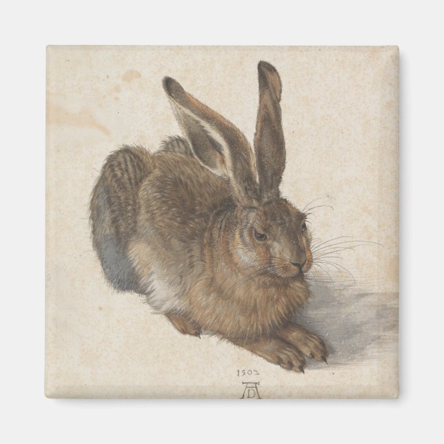 Aimant Young Hare par Albrecht Durer (Devant)