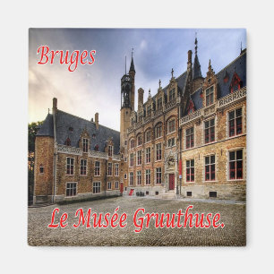 Aimant zBE042 BRUGES Le Musée Gruuthuse, Réfrigérateur