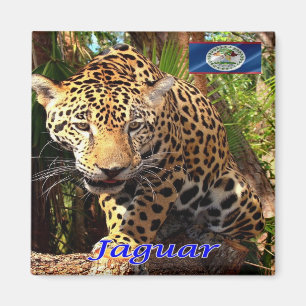 Aimant zBZ006 BELIZE, jungle bélizienne, Jaguar, réfrigér