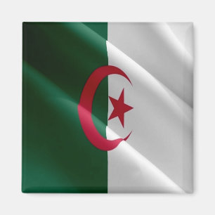 Aimant zDZ002 ALGÉRIE, Drapeau de vague, Afrique, Réfrigé