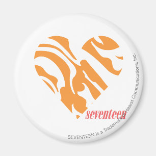 Aimant Zebra Orange 2