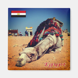 Aimant zEG021 EGYPT, chameau, Afrique, réfrigérateur