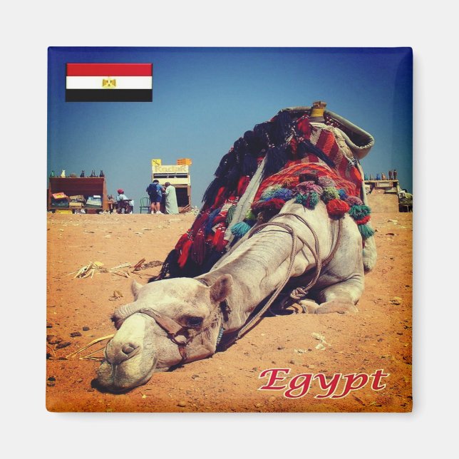 Aimant zEG021 EGYPT, chameau, Afrique, réfrigérateur (Devant)