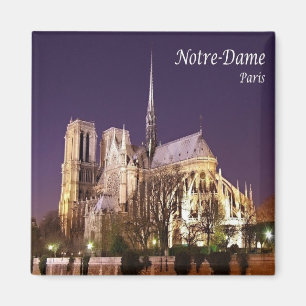 Aimant zFR055 NOTRE-DAME, Paris, France, Fridge