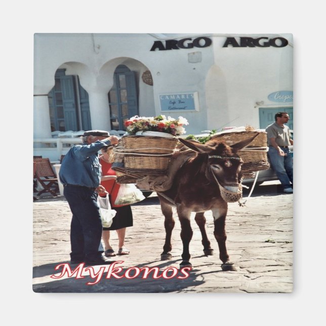 Aimant zGR119 MYKONOS Donkey, Grèce, Frigo (Devant)