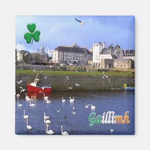 Aimant zIE005 GALWAY GAILLIMH, Irlande, Frigo