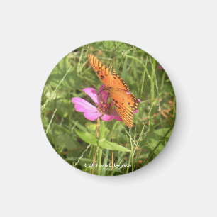 Aimant Zinnia & Papillon