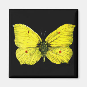 Aimant Zitronenfalter