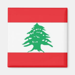 Aimant zLB001 Liban, Frigo
