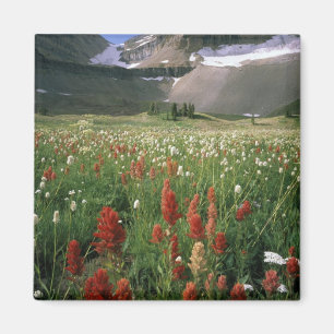 AIMANT ZONE SAUVAGE DU MONT TIMPANOGOS, UT, US,