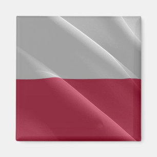 Aimant zPL002 POLONAIS agitant DRAPEAU POLOGNE, Europe, F