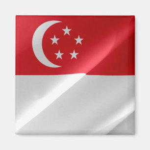Aimant zSG002 waving Singaporean FLAG Singapore, Fridge