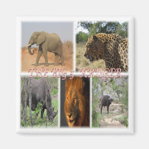 Aimant zZA035 SOUTH AFRICA Big 5 In Kruger N.P. Fridge