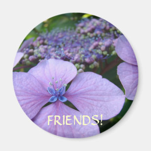 Aimants Cadeaux Fleurs HYDRANGEAS POUR AMIS