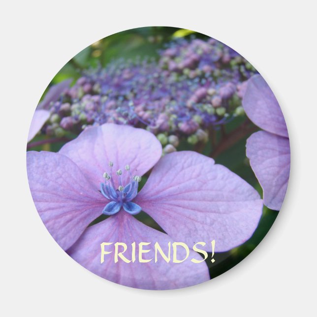 Aimants Cadeaux Fleurs HYDRANGEAS POUR AMIS (Devant)