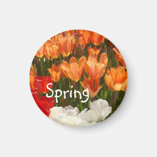 Aimants de fleurs de tulipes de printemps Tulipes