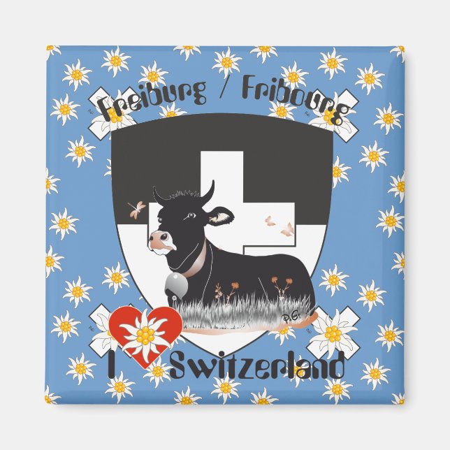 Aimants Fribourg Suisse (Devant)