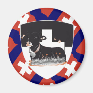 Aimants Fribourg Suisse