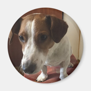 Aimants personnalisés