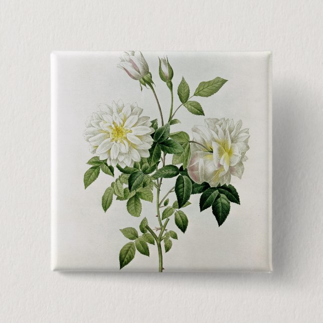 Aime Vibere graviert von Eustache Hyacinthe Button (Vorderseite)