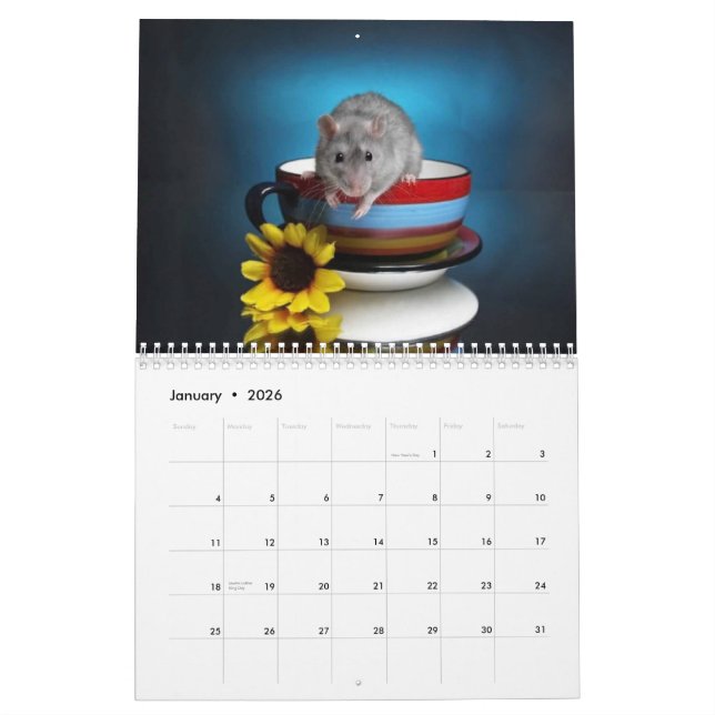 Aimees Kalender Ratten 2010 (Jan 2026)