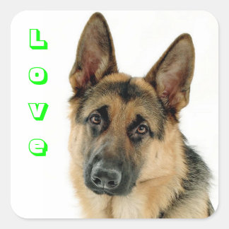 Aimer Allemand Berger Chien Chien Chien Stickers