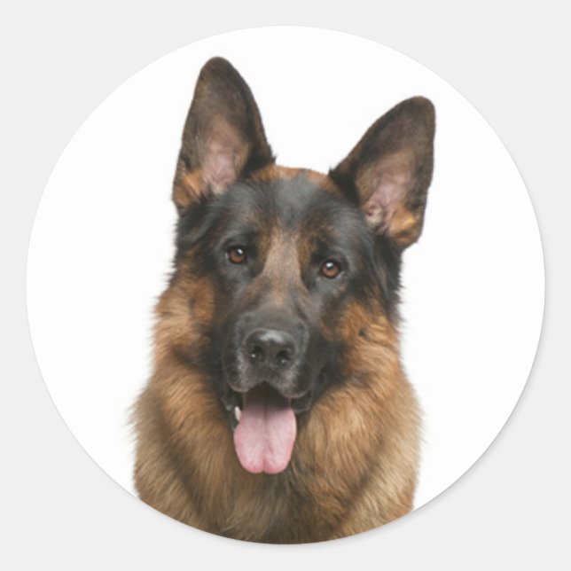 Aimer Allemand Berger Chien Chien Chien Stickers (Devant)