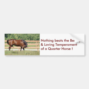 Aimer Belle Quarter Sticker Cheval Bumper