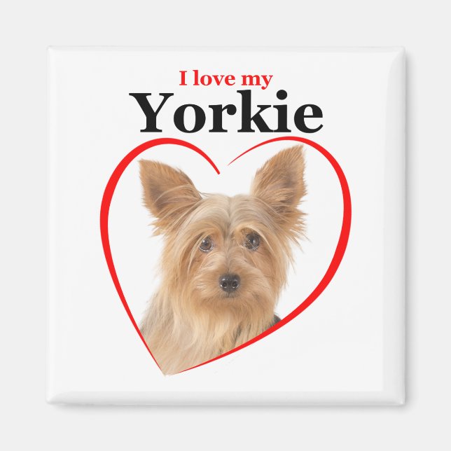 Aimer mon aimant Yorkie (Devant)