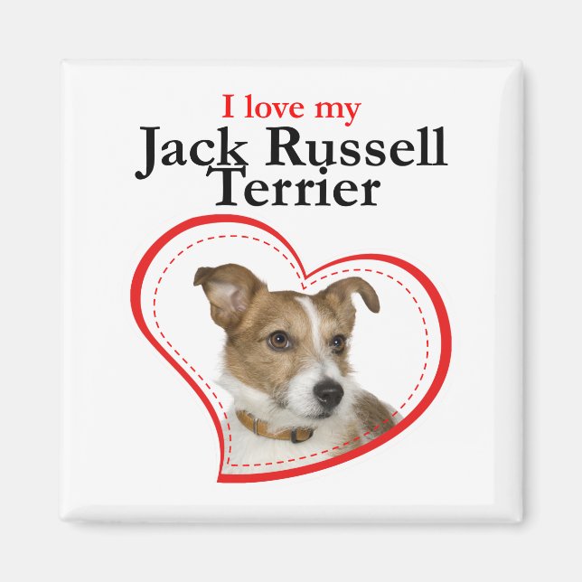 Aimer Mon Jack Russell Magnet Terrier (Devant)