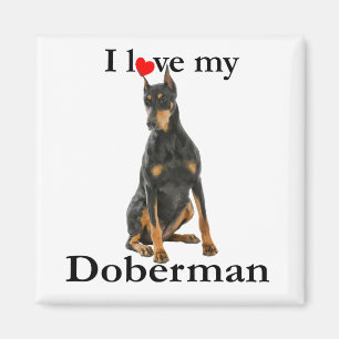 Aimer Mon Magnet Doberman