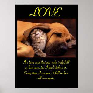 Aimer Posters Animal 3