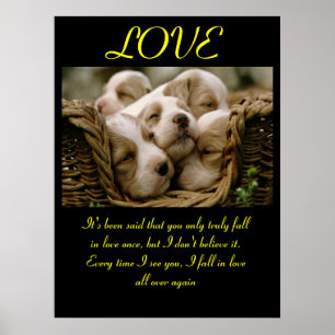 Aimer Posters Animal 5