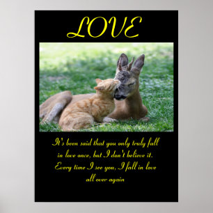 Aimer Posters Animal 7