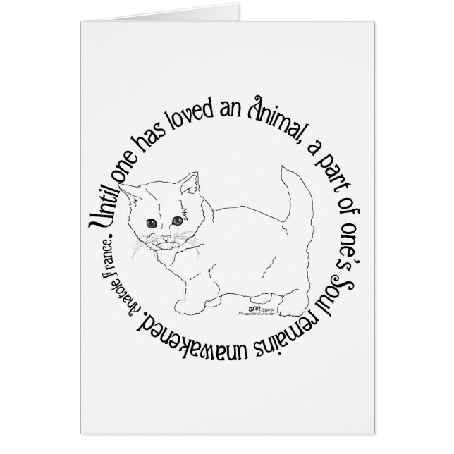 Aimer un chat (Devant)