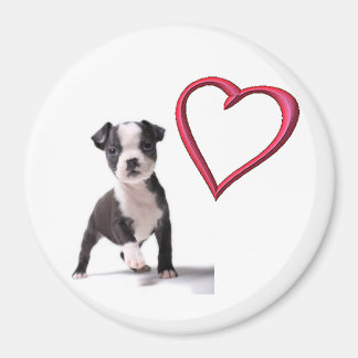 Aimez Mon Boston Chien Chien Chien Magnet