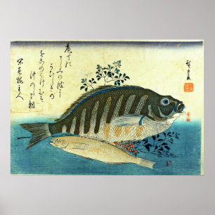 Ainame & Shima-hata - Japanischer Fisch aus Hirosh Poster