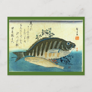Ainame & Shima-hata - Japanischer Fisch aus Hirosh Postkarte