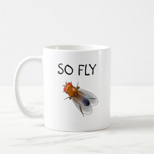Ainsi tasse de drosophile de mouche