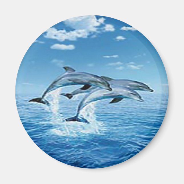 Air Dolphins Magnet (Devant)