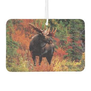 Air Freshner-Yellowstone-Elche Autolufterfrischer