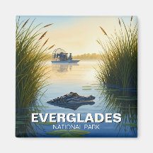 Airboat Alligator Everglades Nationalpark Florida