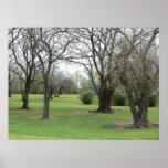 Aire de repos du Kansas Poster