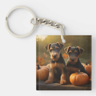 Airedale Chiot Automne Citrouille délice