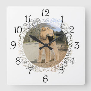 Airedale in the Stable Yard Quadratische Wanduhr