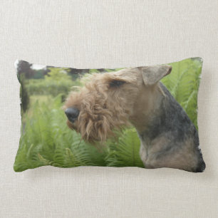 Airedale-Kissen Lendenkissen