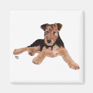 Airedale, Lakeland, Welsh Terrier Welpe Magnet