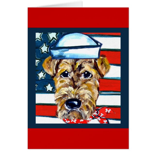 Airedale Navy (Vorne)