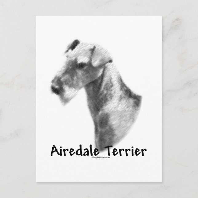 Airedale Terrier Charcoal Postkarte (Vorderseite)